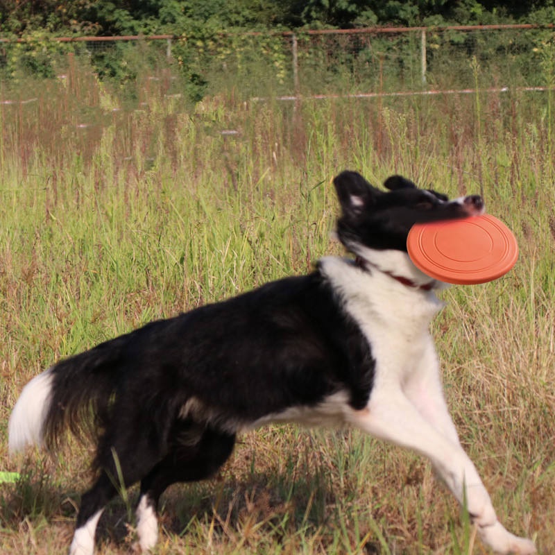 Durable Tear Resistant Pet Fly - огляд і ціна Flying Disc Dog Training Toy