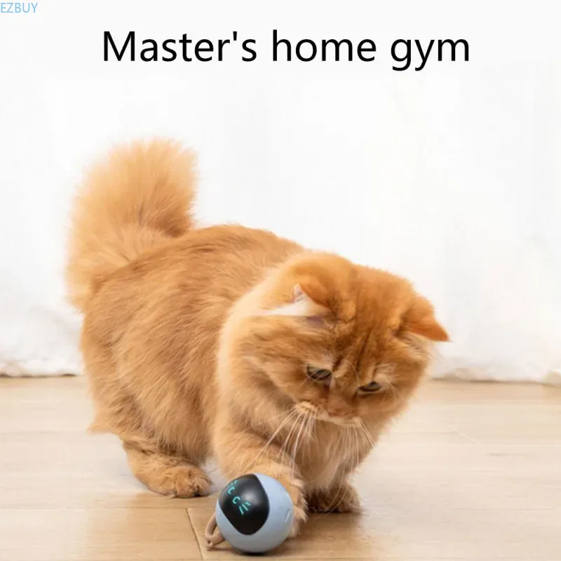 Interactive Cat Ball Toy USB R - огляд і ціна Automatic Moving Dog Ball