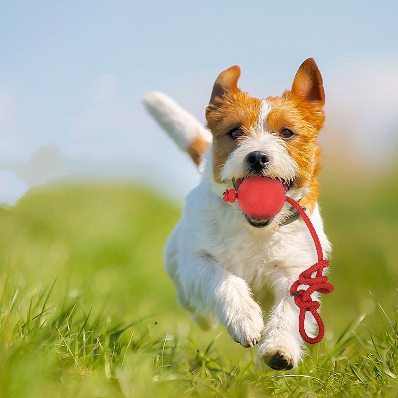 Indestructible Dog Ball with R - огляд і ціна Indestructible Dog Chew Toy